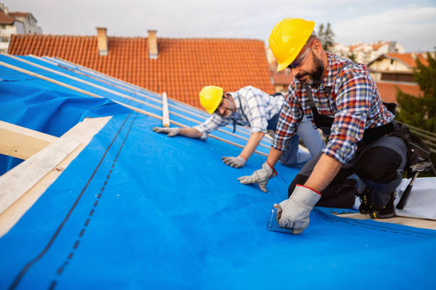 Best Roof Gutter Cleaning  in Sibley, IA